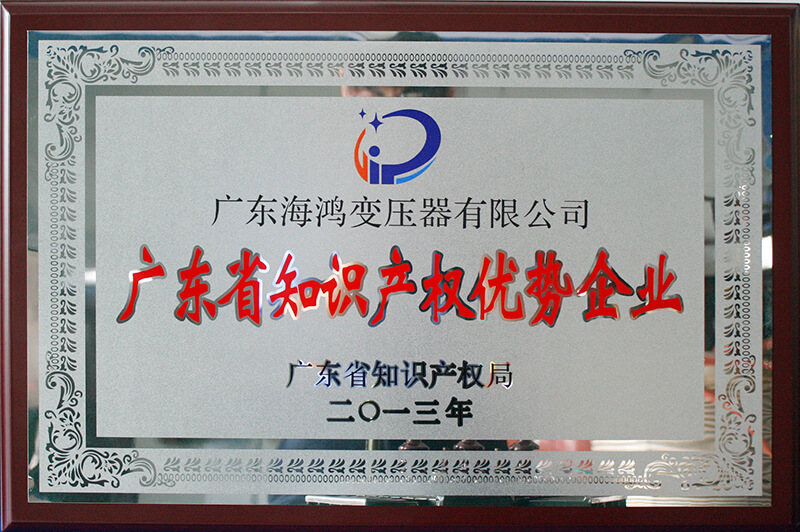 廣東省知識產權優(yōu)勢企業(yè)